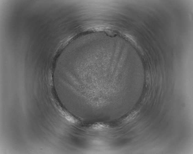 X0000066010453200603171510