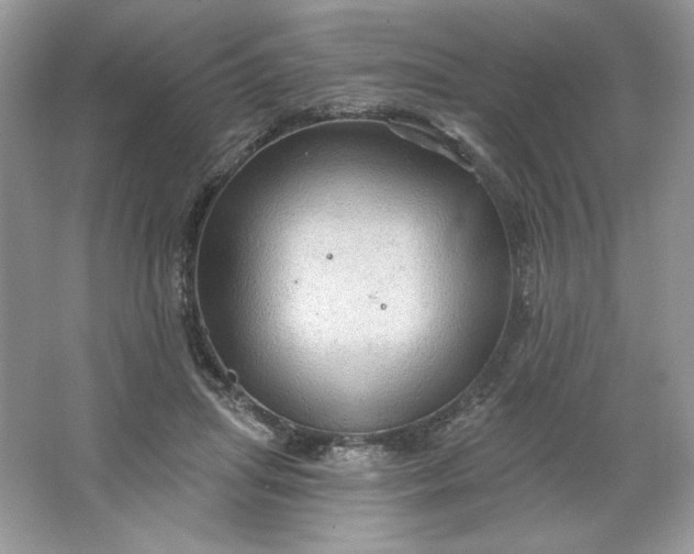 X0000066010455200603171510