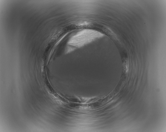 X0000066010458200603171510