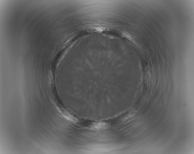 X0000066010459200603171510