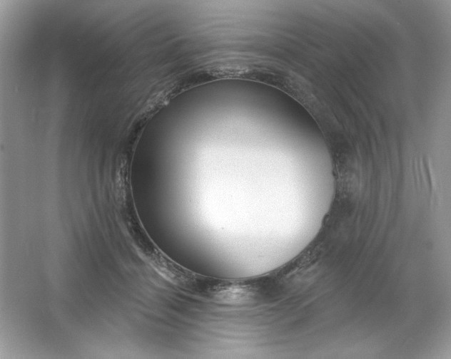 X0000066010460200603171510