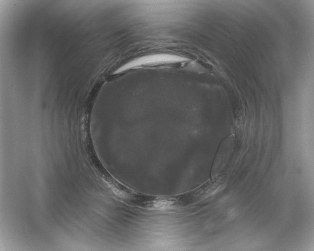 X0000066010462200603171510