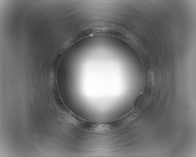 X0000066010463200603171510