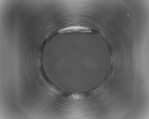 X0000066010464200603171510