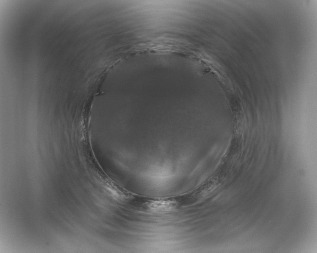 X0000066010465200603171510