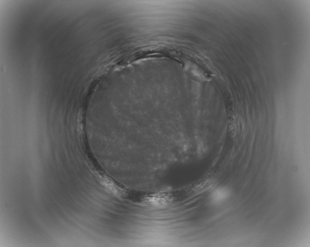 X0000066010466200603171510