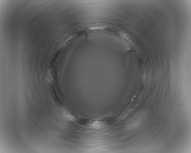 X0000066010467200603171510