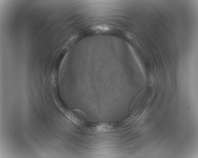 X0000066010468200603171510