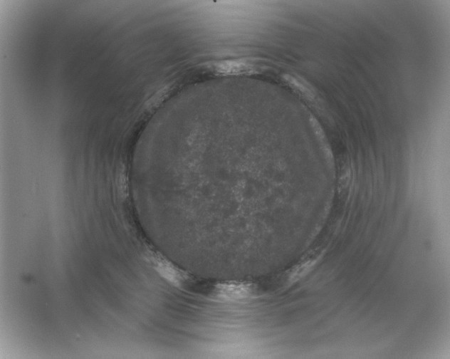 X0000066010469200603171510