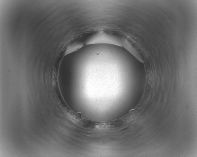 X0000066010470200603171510