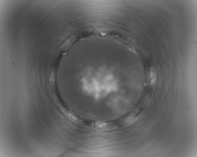 X0000066010472200603171510