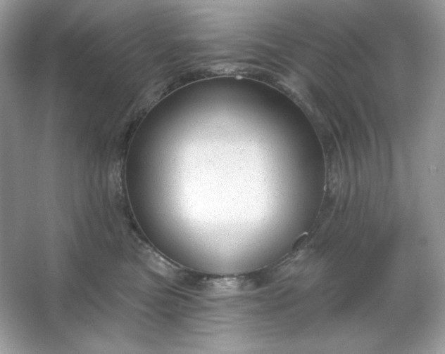 X0000066010473200603171510