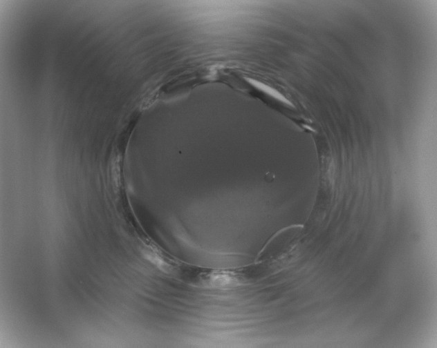 X0000066010475200603171510