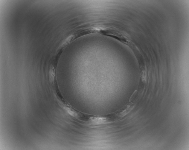 X0000066010476200603171510