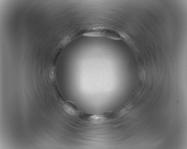 X0000066010477200603171510