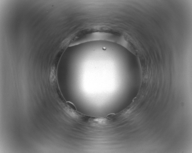 X0000066010478200603171510