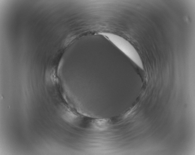 X0000066010479200603171510