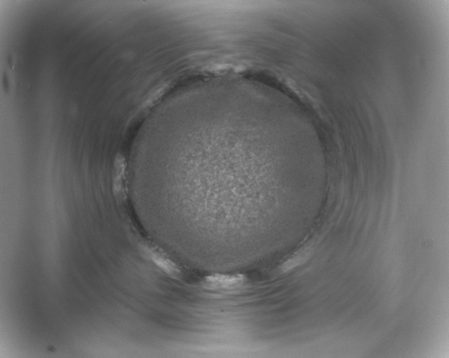 X0000066010480200603171511