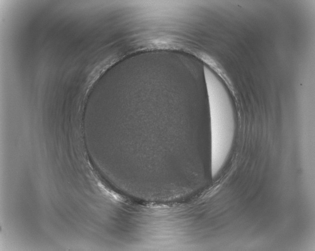 X0000066010481200603171510