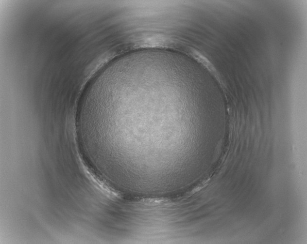 X0000066010482200603171510