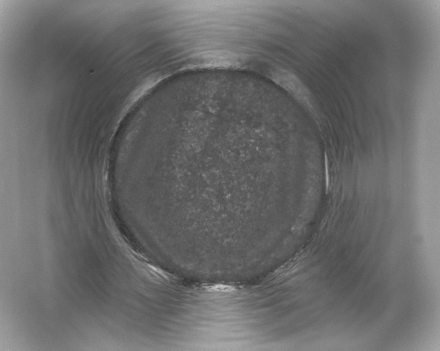 X0000066010483200603171510