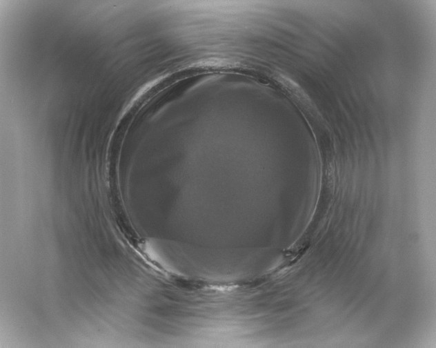 X0000066010484200603171510