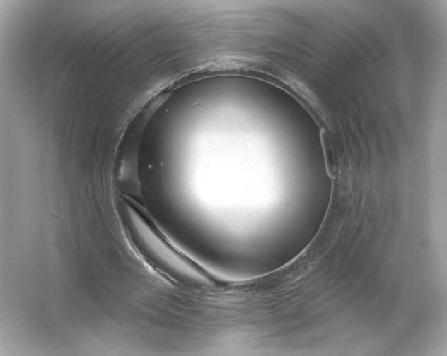 X0000066010485200603171510