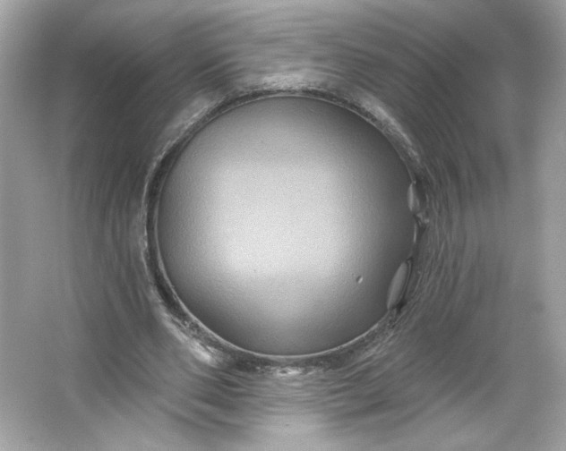 X0000066010486200603171510