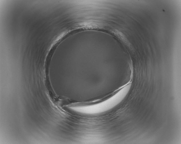 X0000066010488200603171510