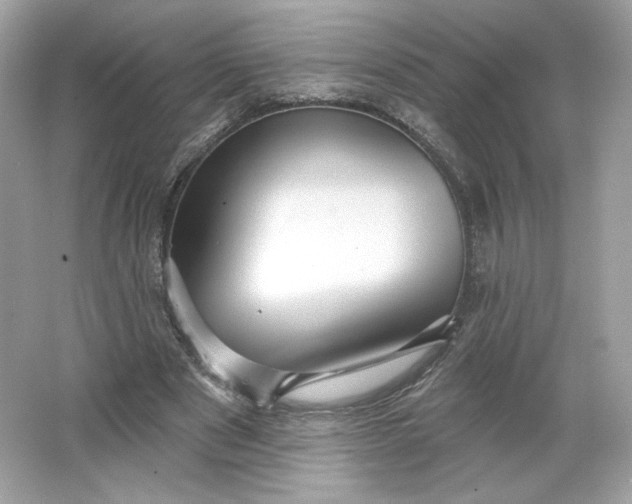 X0000066010489200603171510