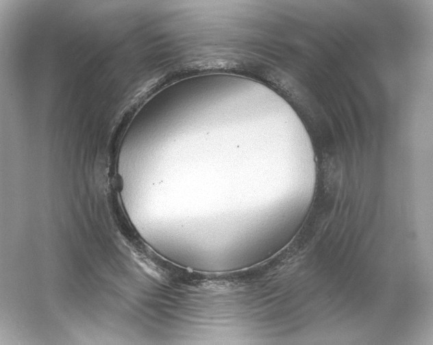 X0000066010490200603171510