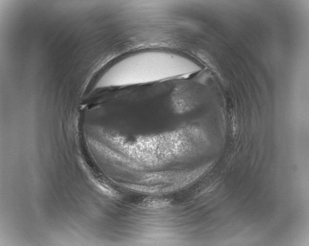 X0000066010491200603171510