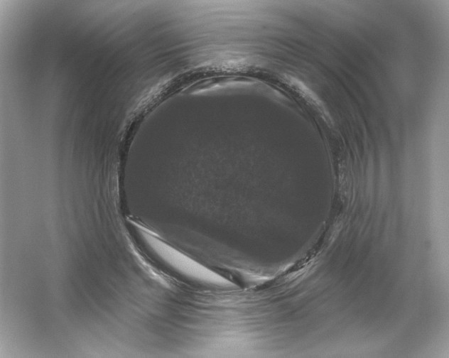 X0000066010493200603171509