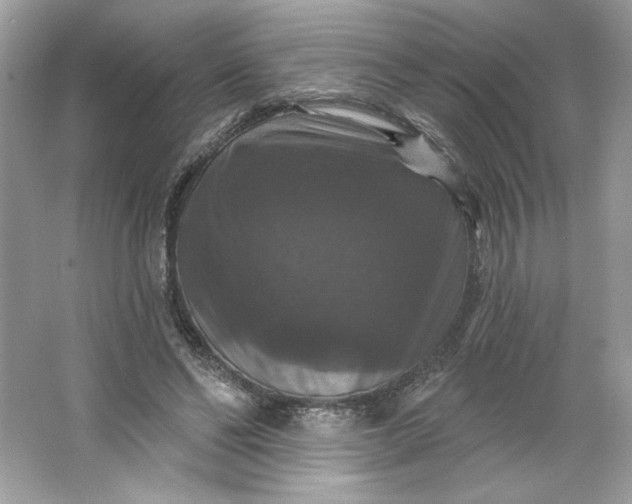 X0000066010494200603171509