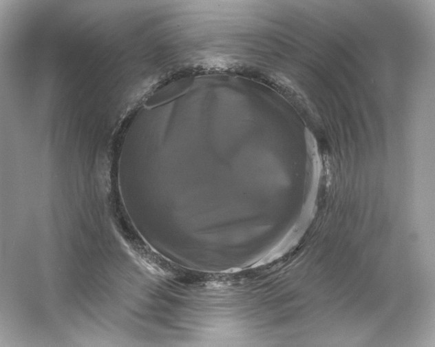 X0000066010496200603171509