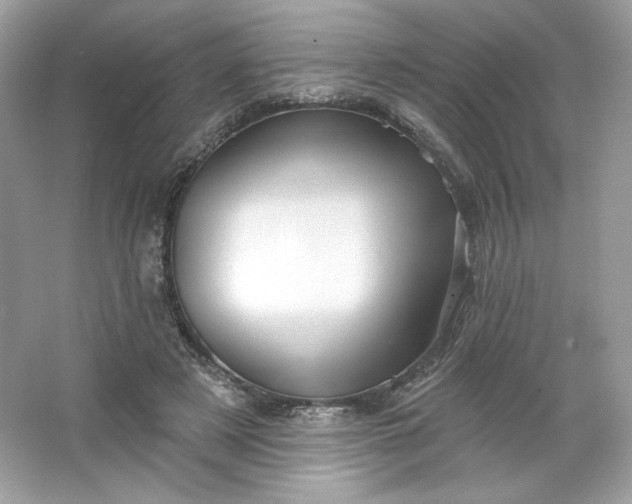 X0000066010497200603171509