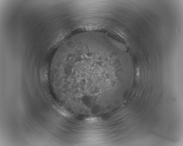 X0000066010499200603171509