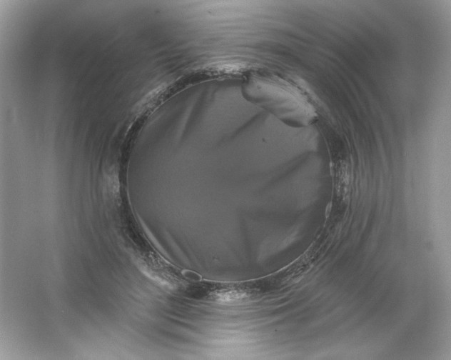 X0000066010500200603171509