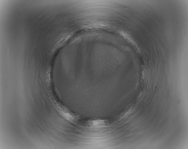 X0000066010501200603171509