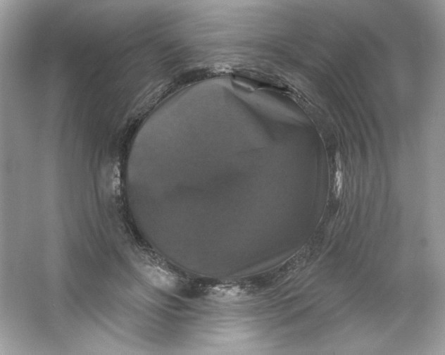 X0000066010502200603171509