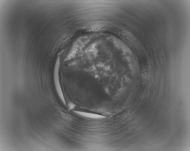 X0000066010503200603171509