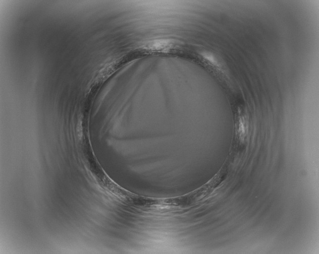 X0000066010504200603171509