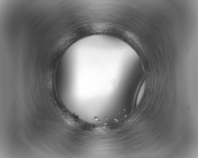 X0000066010505200603171509