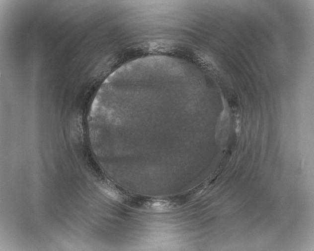 X0000066010506200603171509