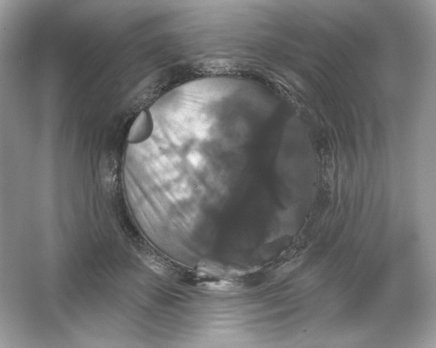 X0000066010507200603171509