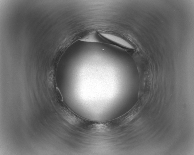 X0000066010509200603171509