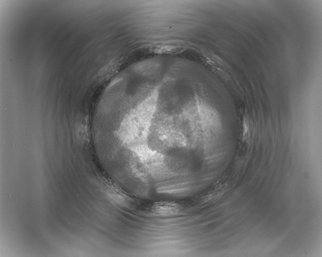 X0000066010510200603171509