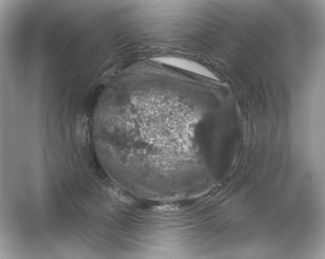 X0000066010511200603171509