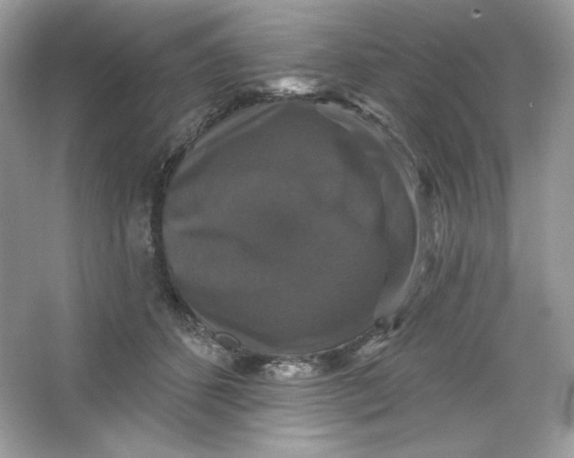 X0000066010512200603171509