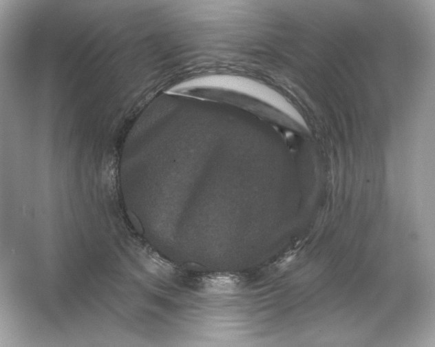 X0000066010513200603171509